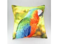 Parrot pillow